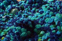 Detalle de la obra de arte textil 'Aguas rumorosas', por la artista visual Eugenia Demarchi.