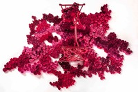 Vista en planta de la obra de arte contemporáneo 'Tejidos'.